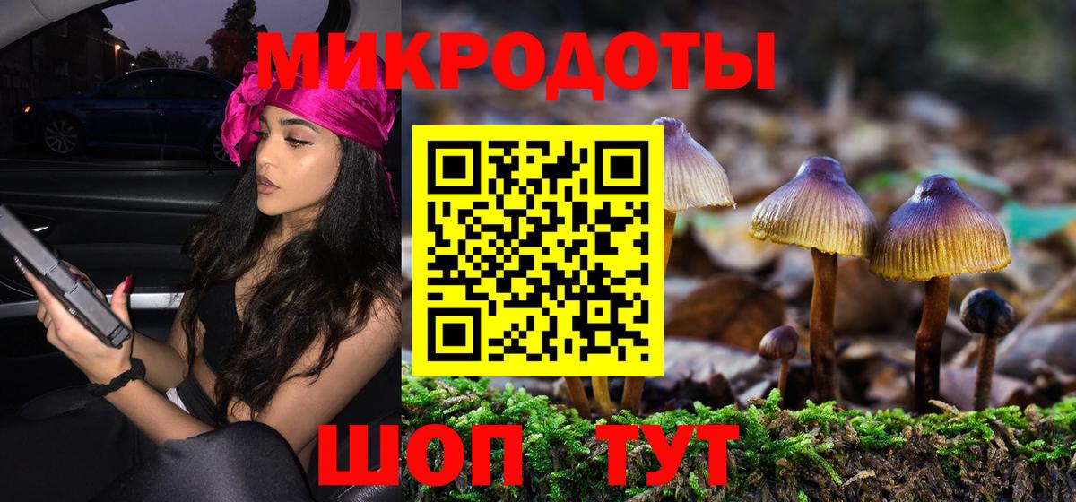 Галлюциногенные грибы Magic Shrooms  цены   Красноармейск  Вход с VPN  Галлюциногенные грибы GOLDEN TEACHER 
