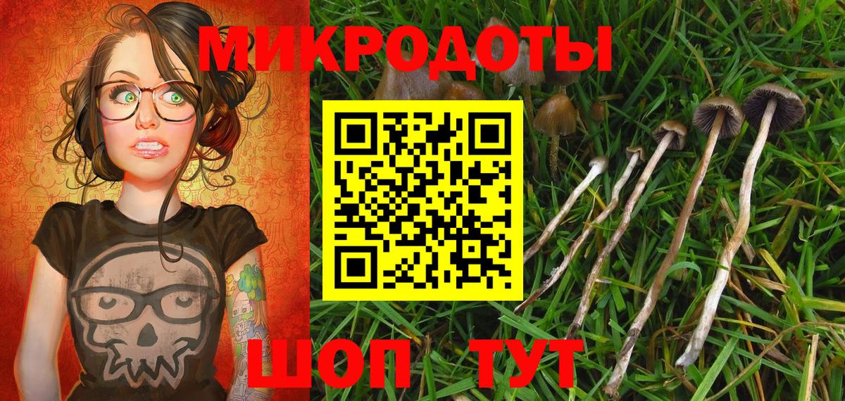 Галлюциногенные грибы Psilocybe Красноармейск